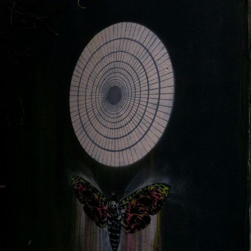 Squamish Public Art Butterfly Graphic MaryMary 800x800