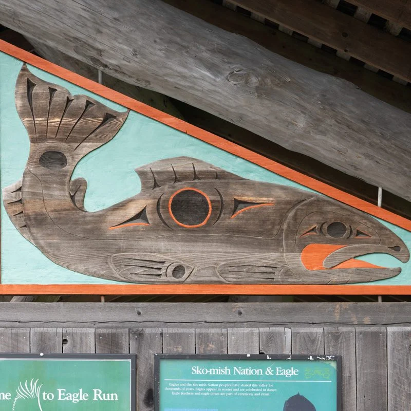 Squamish Public Art Eagle And Salmon Egg BR 800x800