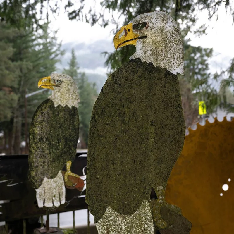 Squamish Public Art Eagle Cutouts Christina Nick BR2 800x800
