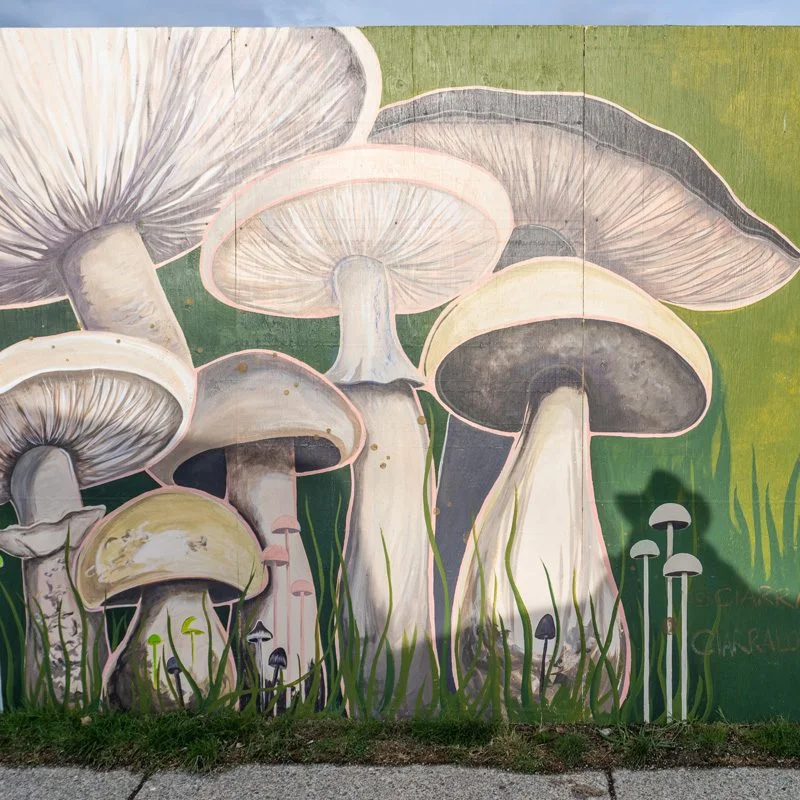 Squamish Public Art Fungi Fun Ciarra Saylor DT14 800x800