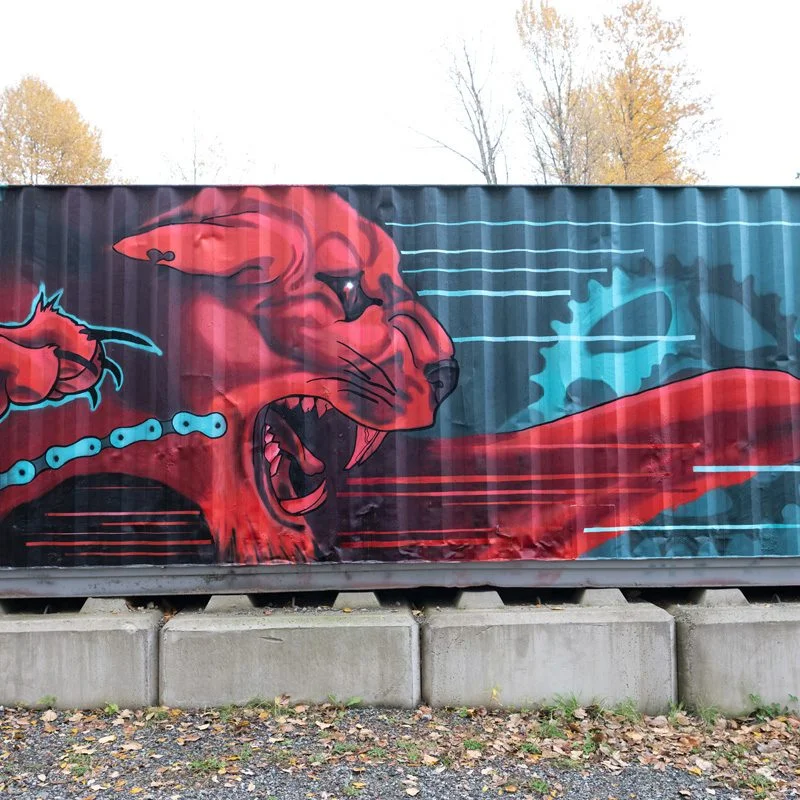 Squamish Public Art LE BMX Mural 22 800x800