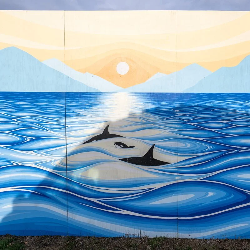 Squamish Public Art Orcas at Sunset DT 800x800