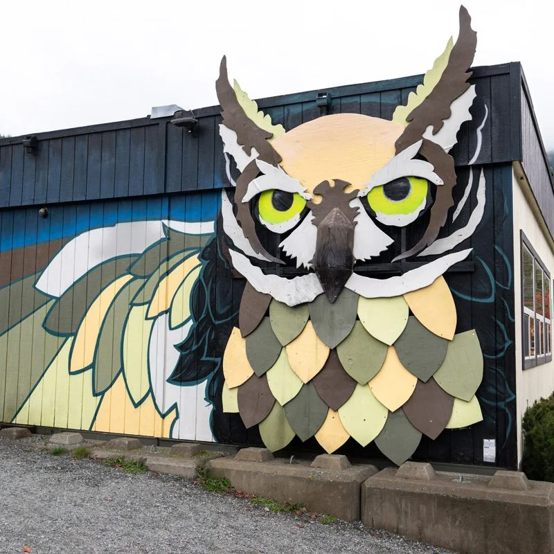 Squamish Public Art Owl GE5 800x800