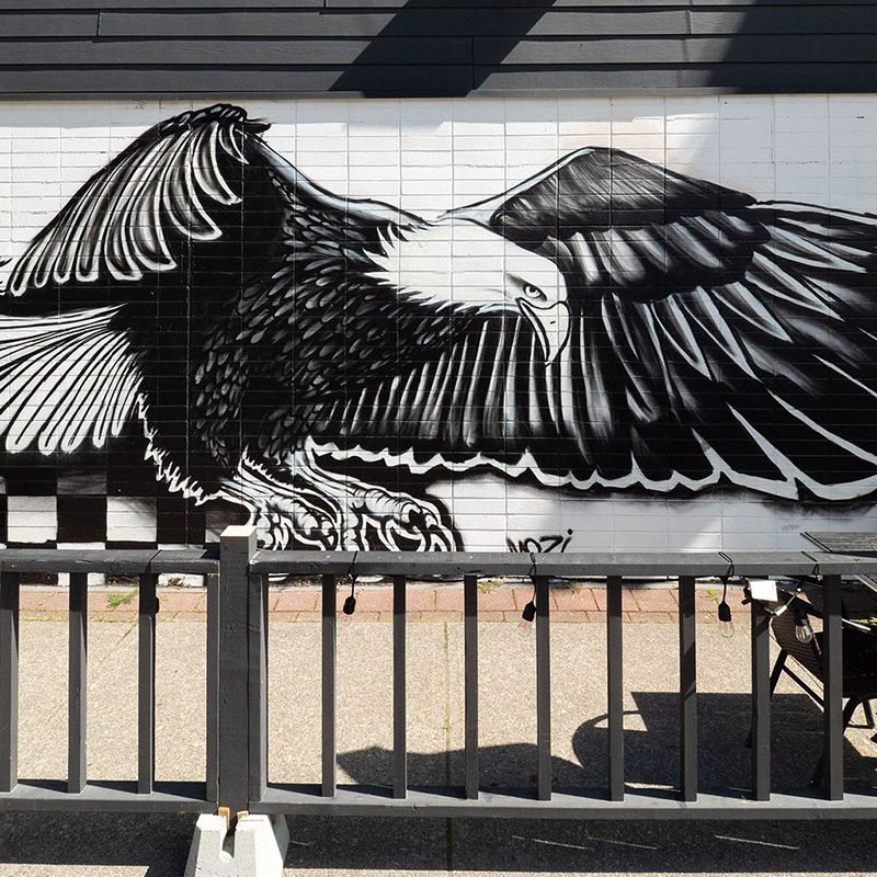 Squamish Public Art Soaring Eagle 800x800