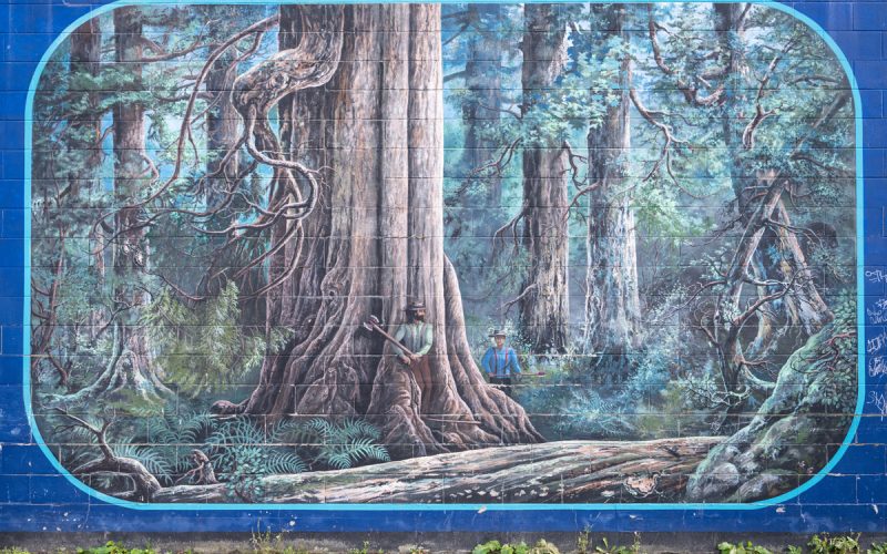 Squamish Public Art Squamish Adventure Mural DT38