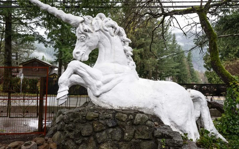 Squamish Public Art Unicorn BR22